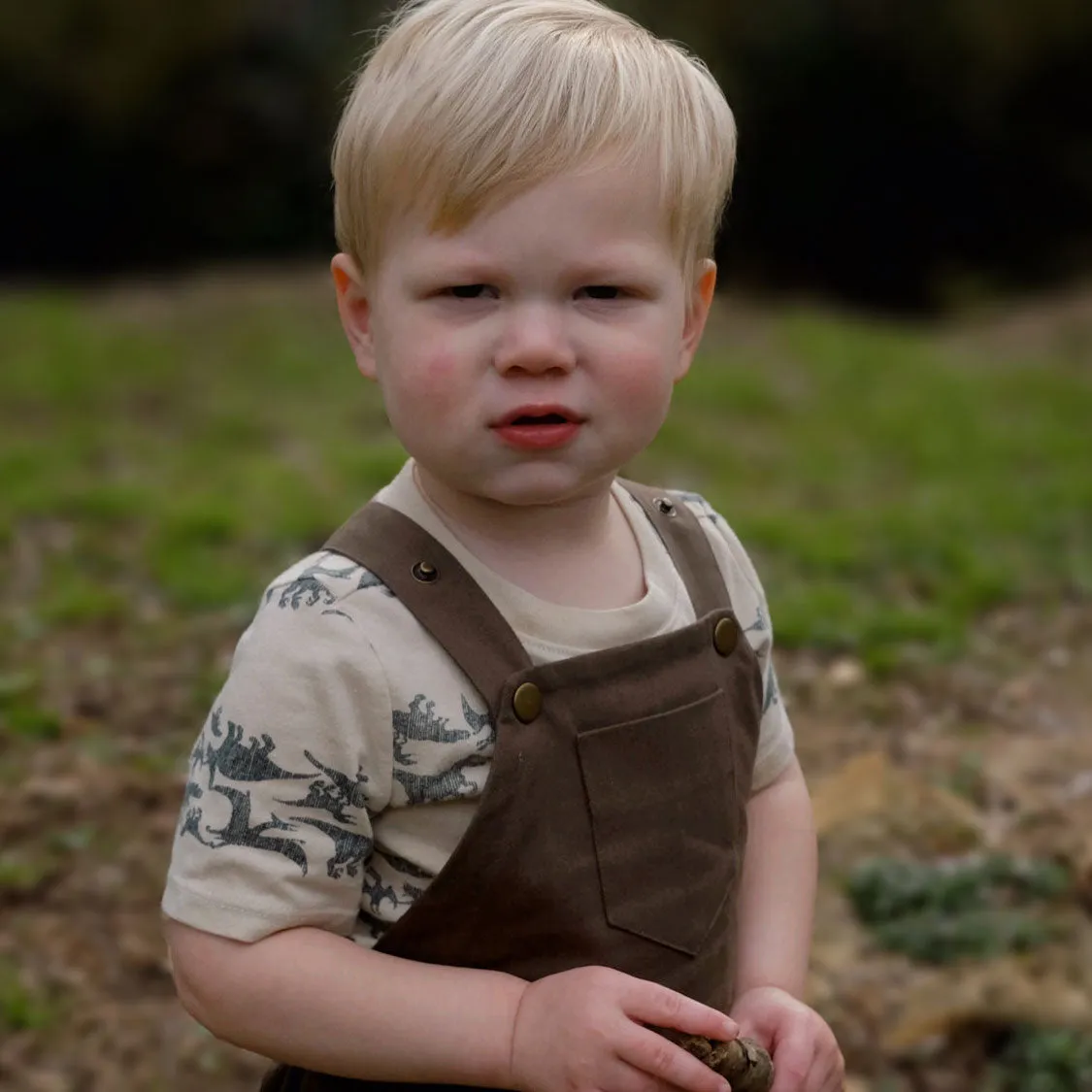 2T Organic River Rock Twill Overalls SAMPLE