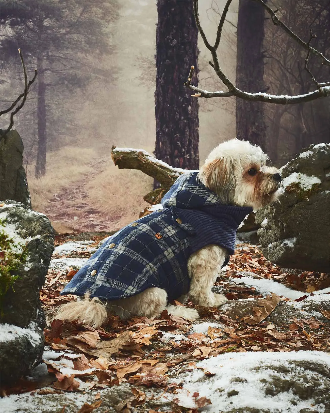 Melton Plaid Corduroy Vest with Hood