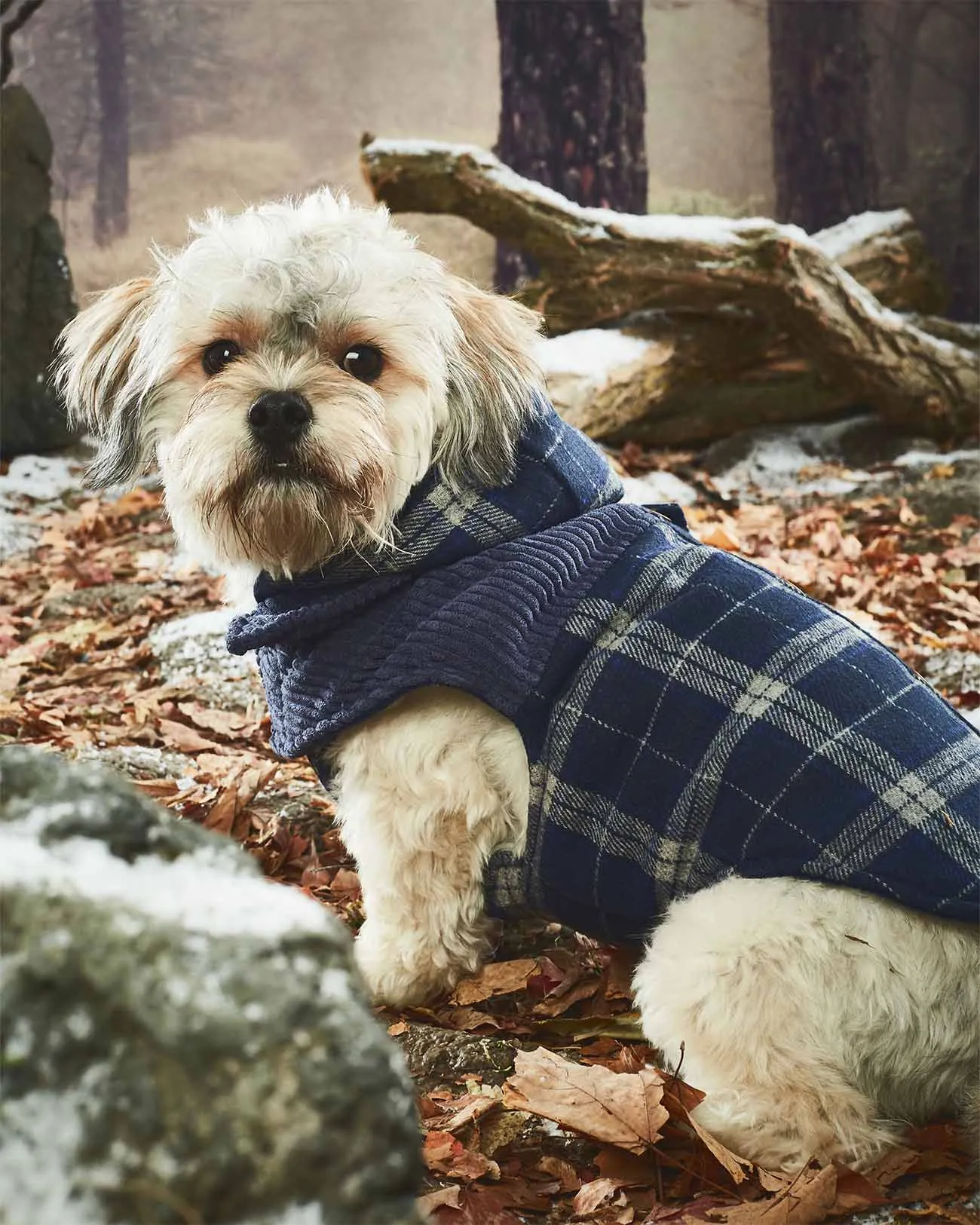Melton Plaid Corduroy Vest with Hood