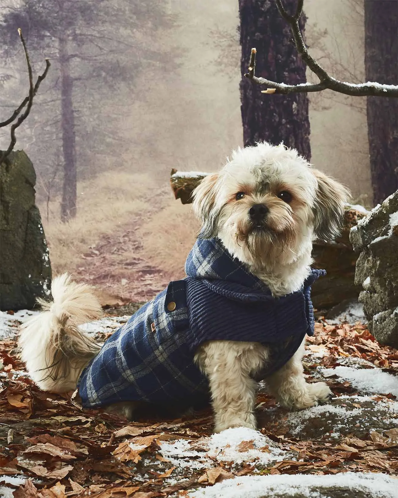 Melton Plaid Corduroy Vest with Hood